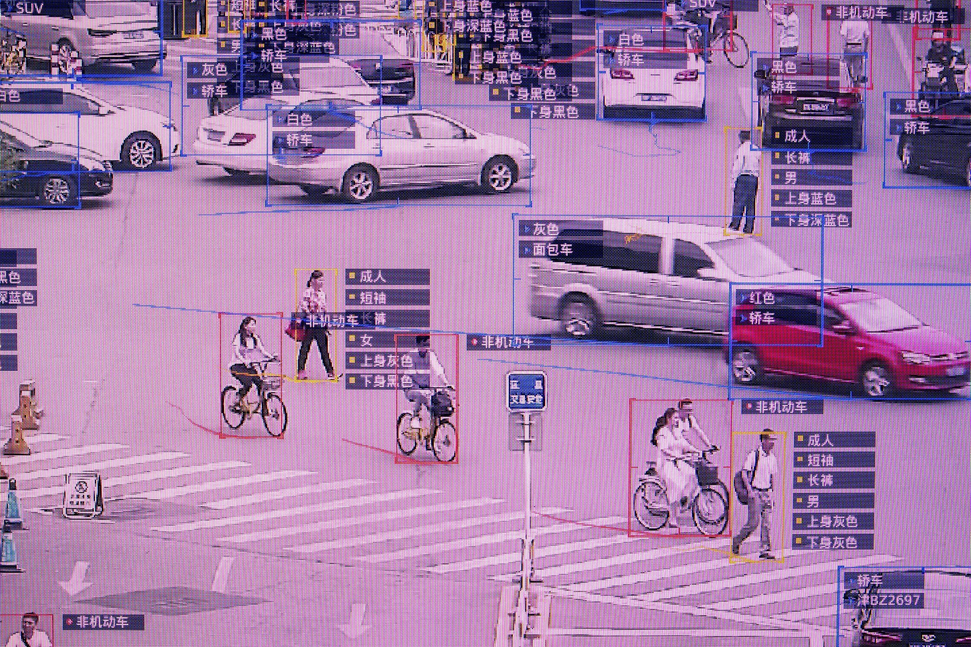 An image from China's state surveillance system