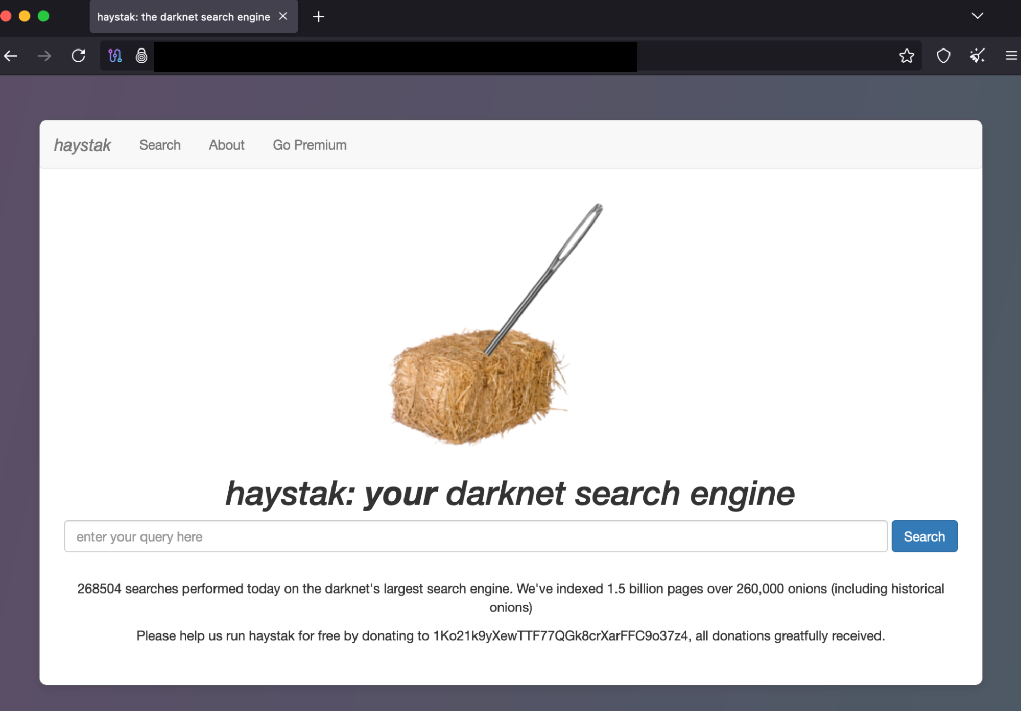 Screenshot of Haystak on Tor Browser